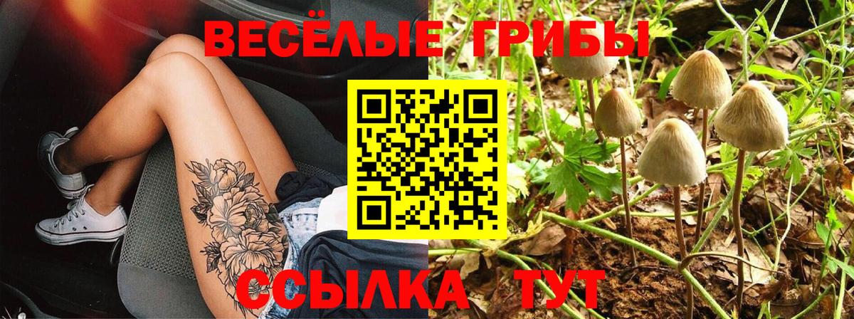 Псилоцибиновые грибы Magic Shrooms  магазин  наркотиков  Пыть-Ях  Вход с VPN 